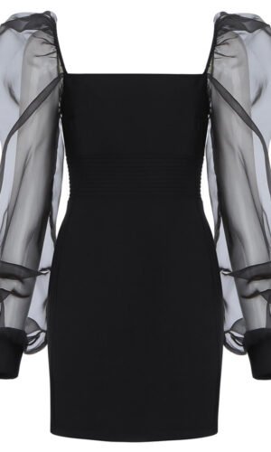 Lucy Black Mini Mesh Puff Sleeve Dress