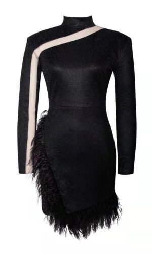 Maliyah Black Geometric Design Mesh Mini Dress