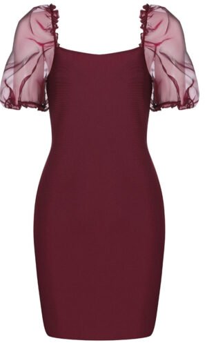 Giselle Mini Mesh Short Sleeve Bandage Dress