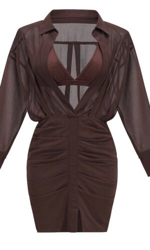 Rylie Brown Gathered Mesh Long Sleeve Mini Dress