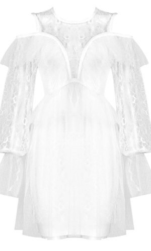Julianna White Lace Long Sleeve Mini Dress