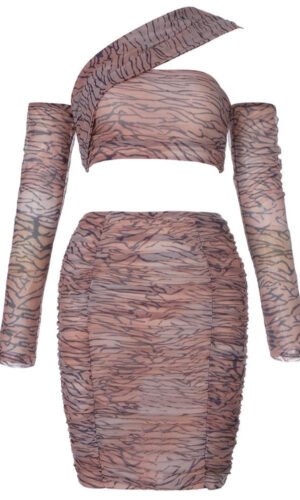 Melanie Mesh Animal Print Mini Dress Set