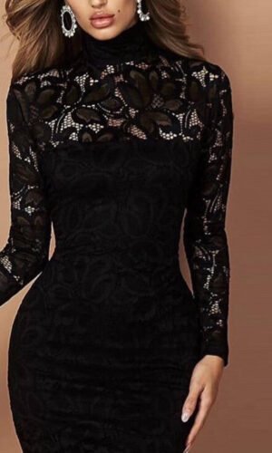 Shayne High Neck Long Sleeve Lace Dress