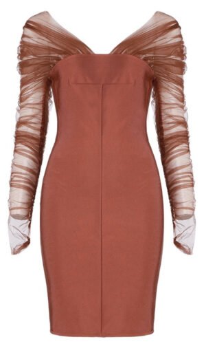 Hannah Brown Mesh Long Sleeve Mini Dress