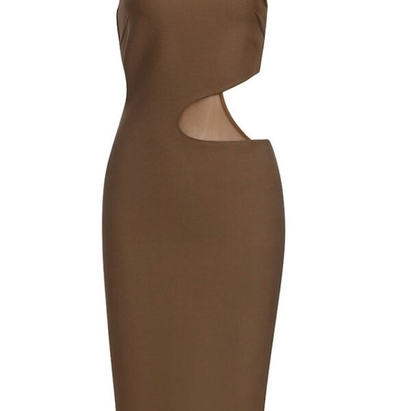 Marie Brown Midi Dress with Mesh Insert