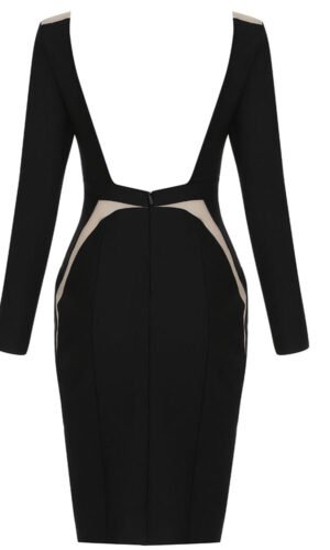 Charmaine Black Long Sleeve Backless Mini Dress