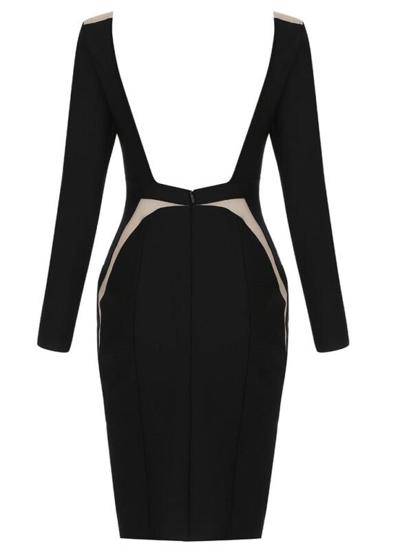 Charmaine Black Long Sleeve Backless Mini Dress