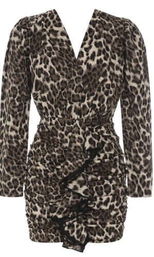 Peyton Leopard Print Long Sleeve V Neck Mini Dress