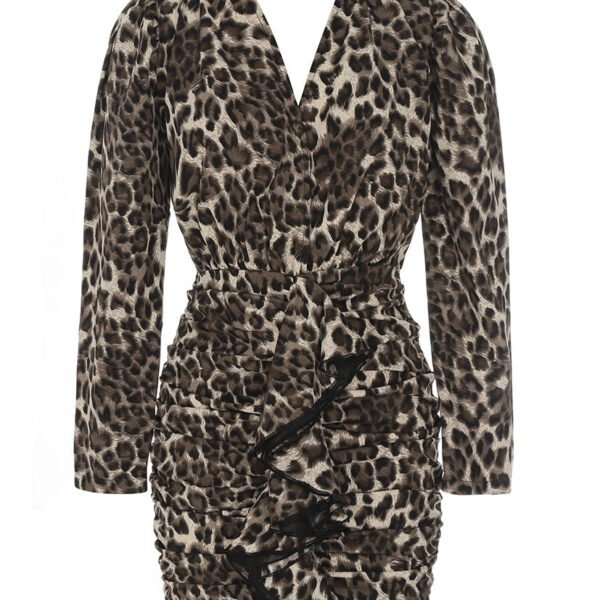 Peyton Leopard Print Long Sleeve V Neck Mini Dress