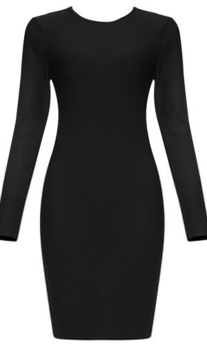 Piper Black Long Sleeve Mini Backless Dress