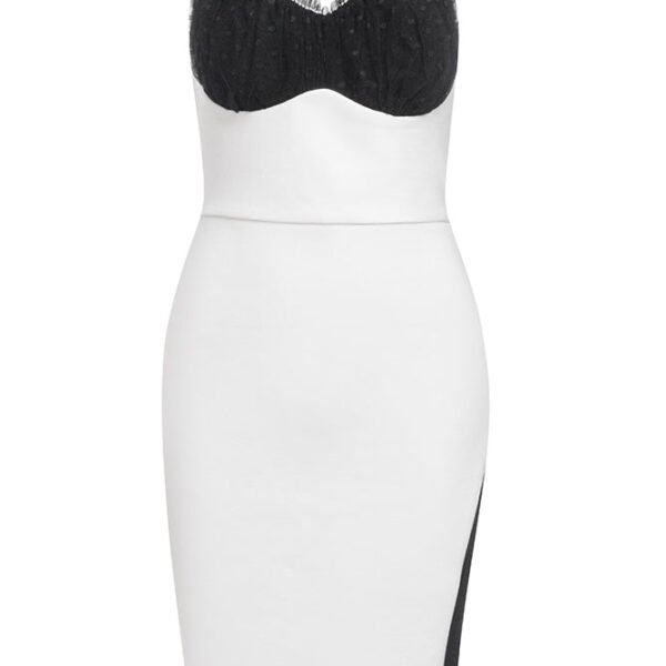 Jemma Black White Mesh Bustier Mini Dress